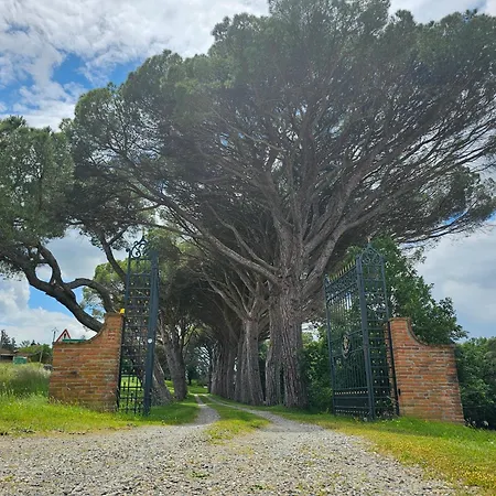 Chateau De Pys * Latrape