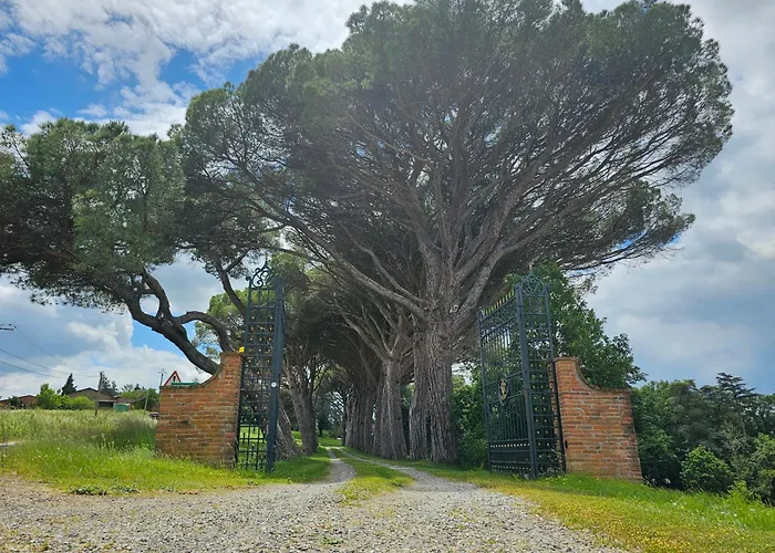 Chateau De Pys * Latrape